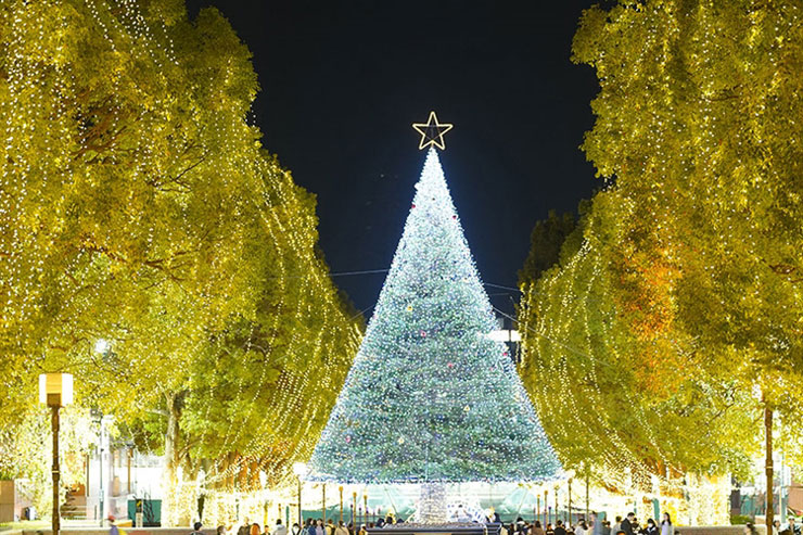 イルミネーションの写真で使う、レンズ選びのこだわりポイント イルミネーションの写真で使う、レンズ選びのこだわりポイント