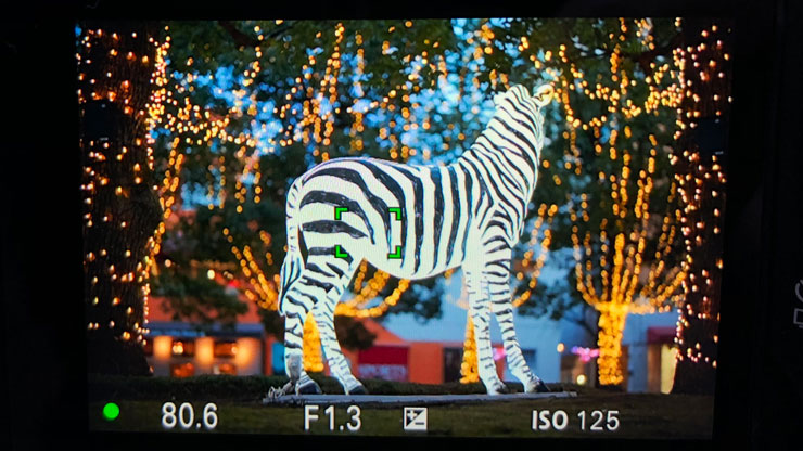 SONY(ソニー) α7 IV 高分解シャッター撮影時モニター画面