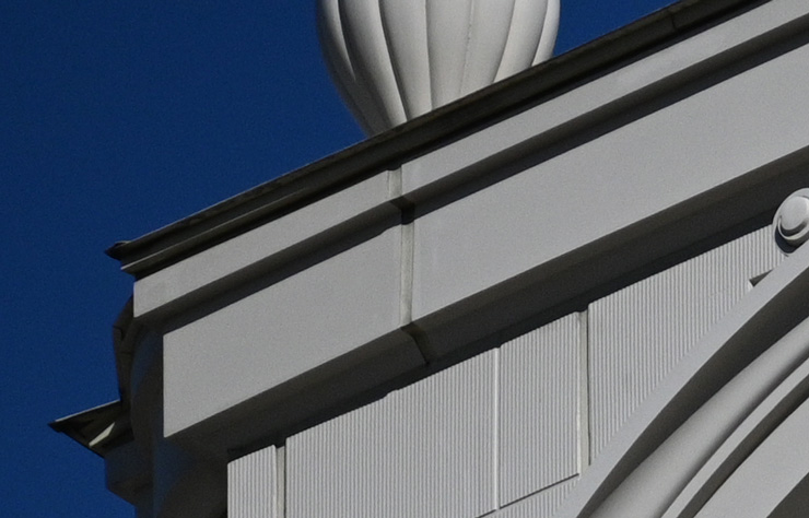 Nikon(ニコン) NIKKOR Z DX 50-250mm f/4.5-6.3 VR 作例7拡大