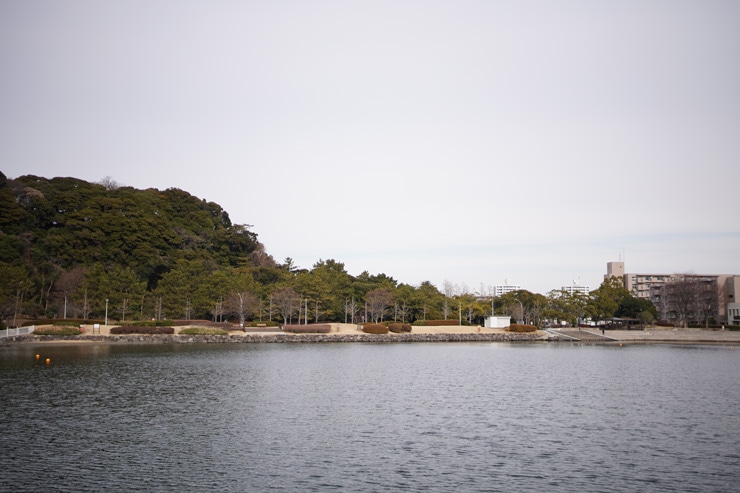 SONY(ソニー) E 24mm F1.8 ZA 作例10