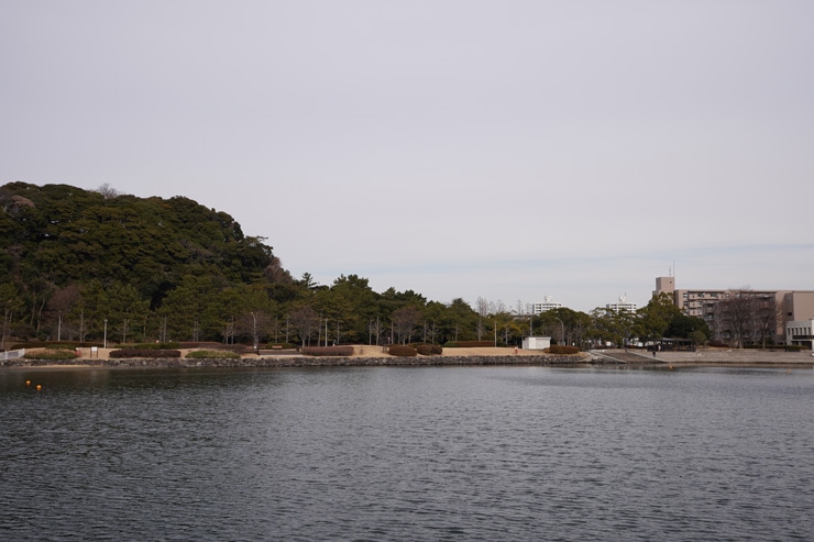 SONY(ソニー) E 24mm F1.8 ZA 作例11