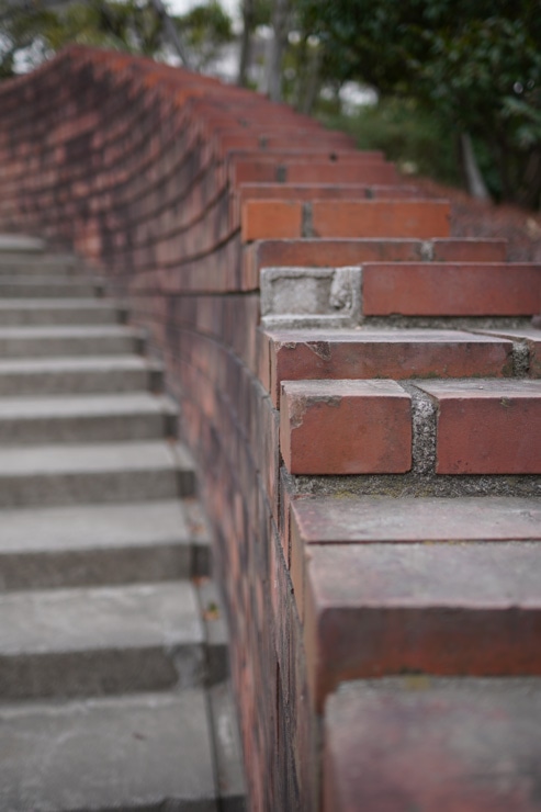 SONY(ソニー) E 24mm F1.8 ZA 作例4