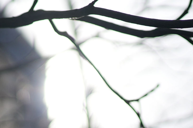 SIGMA（シグマ） 20mm F2 DG DN | Contemporary 作例10拡大