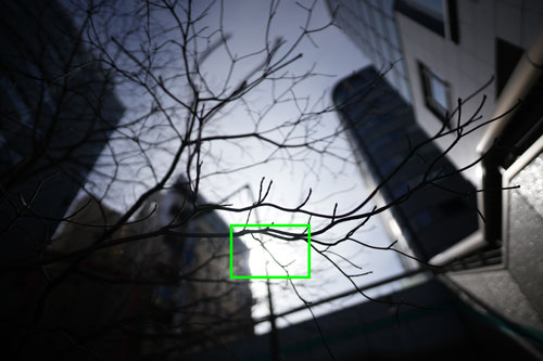 SIGMA（シグマ） 20mm F2 DG DN | Contemporary 作例10拡大枠