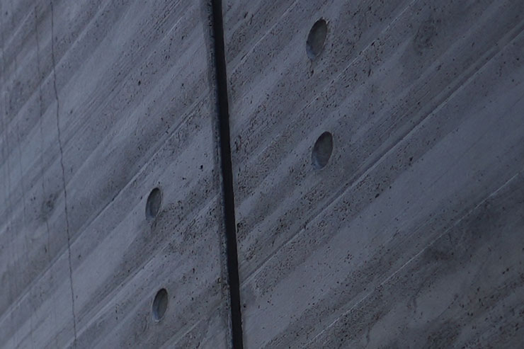 SIGMA（シグマ） 20mm F2 DG DN | Contemporary 作例1拡大