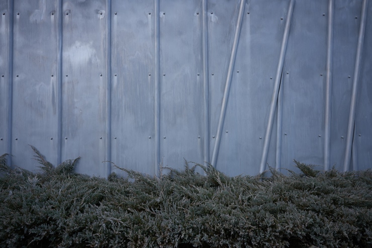 SIGMA（シグマ） 20mm F2 DG DN | Contemporary 作例3