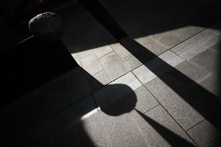 SIGMA（シグマ） 20mm F2 DG DN | Contemporary 作例8