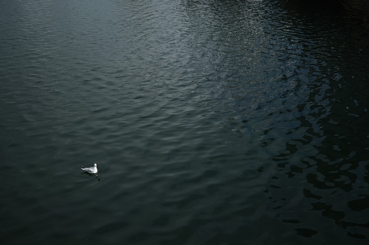 富士フイルム（FUJIFILM）フジノンレンズ XF23mmF1.4 R LM WR 作例6