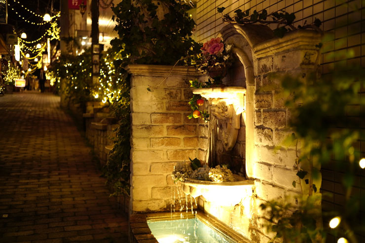 Voigtlander (フォクトレンダー) HELIAR 40mm F2.8 Aspherical VM  作例6