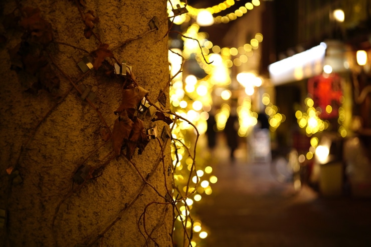 Voigtlander (フォクトレンダー) HELIAR 40mm F2.8 Aspherical VM  作例8