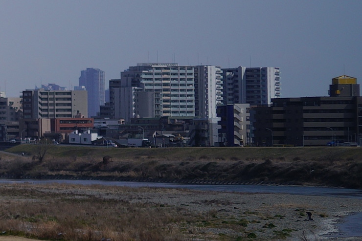 Voigtlander (フォクトレンダー) HELIAR 40mm F2.8 Aspherical VM  作例5拡大