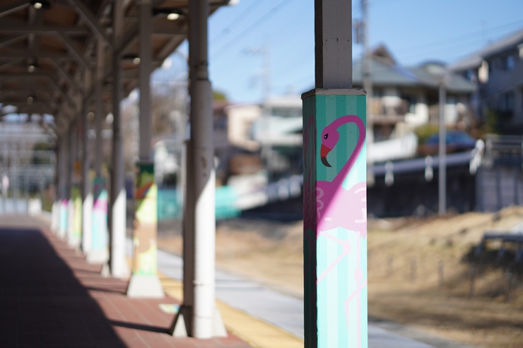 SONY（ソニー）FE 85mm F1.8 作例5