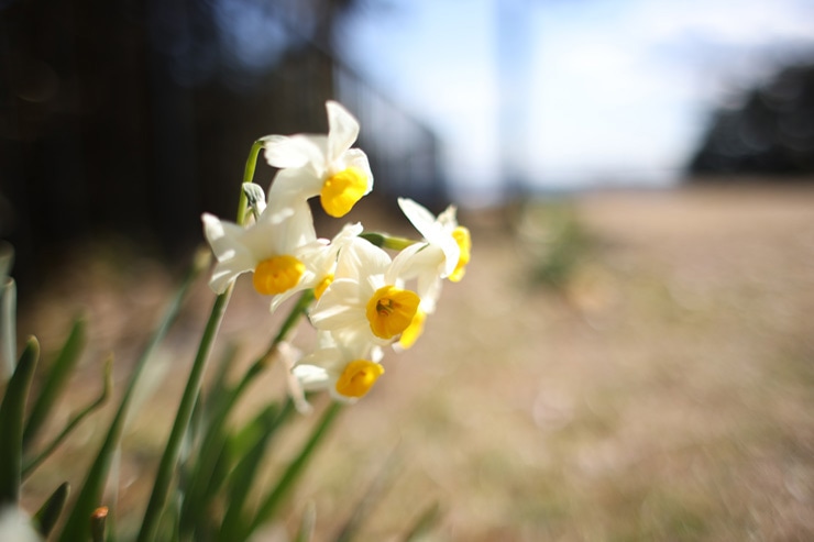 Canon(キヤノン)EF 28mm F1.8 USM 実写レビュー Canon(キヤノン)EF 28mm F1.8 USM 実写レビュー