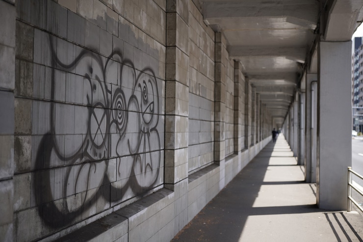 SONY(ソニー) FE 50mm F2.5 G 作例3