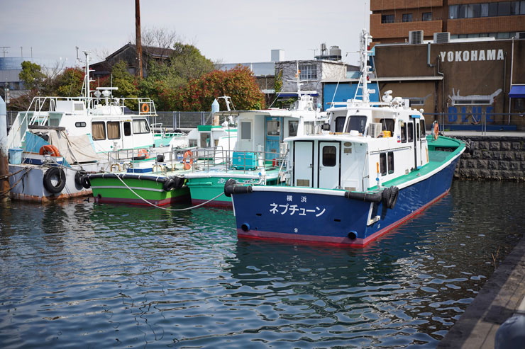 SONY(ソニー) FE 50mm F2.5 G 作例6