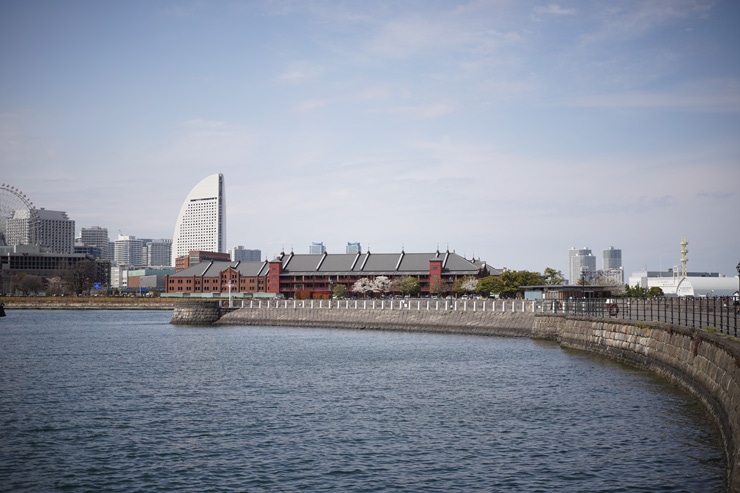 SONY(ソニー) FE 50mm F2.5 G 作例8