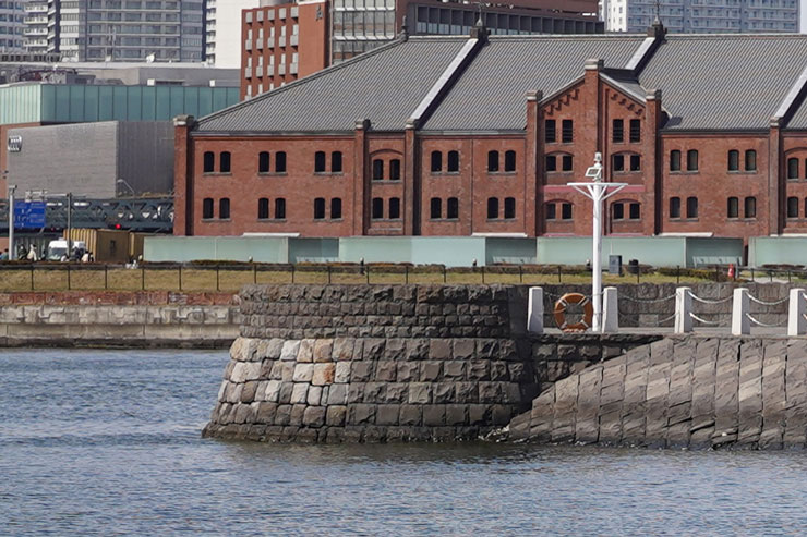 SONY(ソニー) FE 50mm F2.5 G 作例8拡大