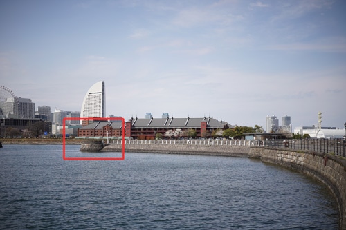 SONY(ソニー) FE 50mm F2.5 G 作例8拡大枠