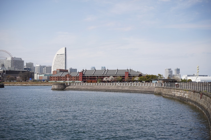 SONY(ソニー) FE 50mm F2.5 G 作例8比較2