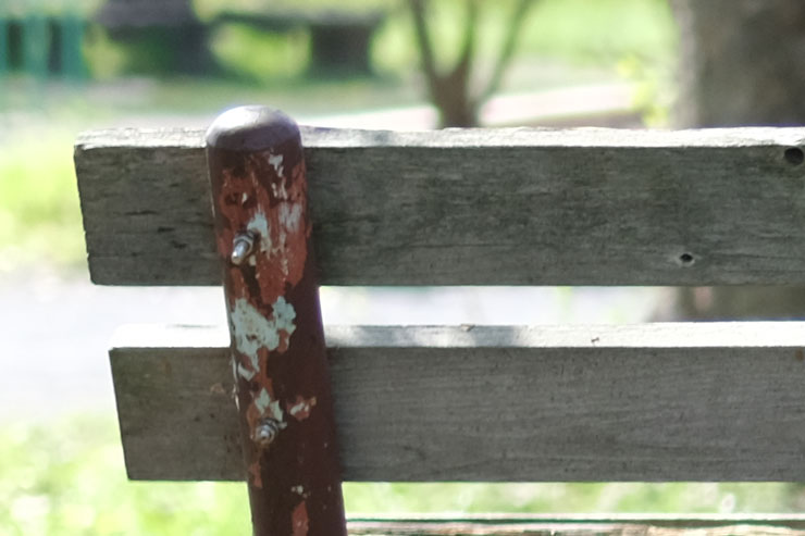 SIGMA 30mm F1.4 DC DN | Contemporary Xマウント 解像感作例拡大