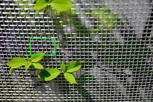 SIGMA 30mm F1.4 DC DN | Contemporary Xマウント  フリンジ拡大枠