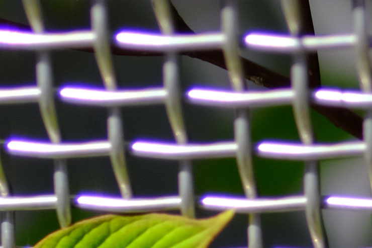 SIGMA 30mm F1.4 DC DN | Contemporary Xマウント  フリンジ拡大