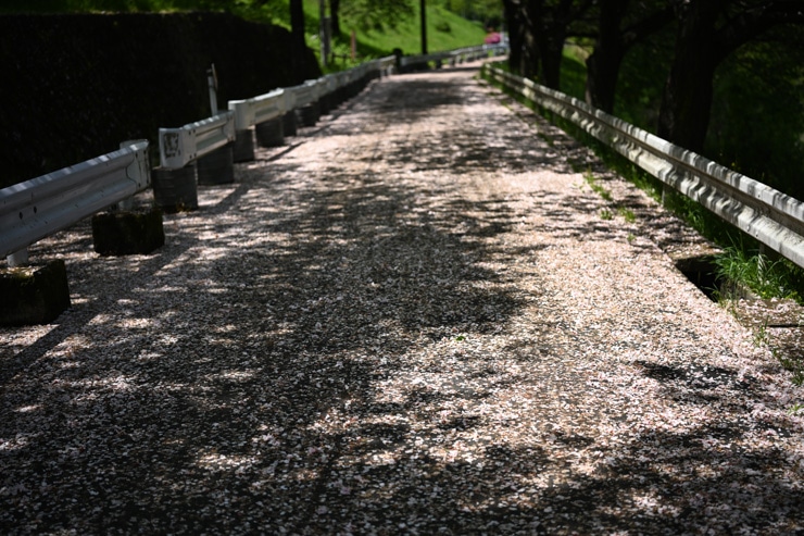 Voigtlander（フォクトレンダー）APO-LANTHAR 50mm F2 Aspherical ニコンZ 作例4