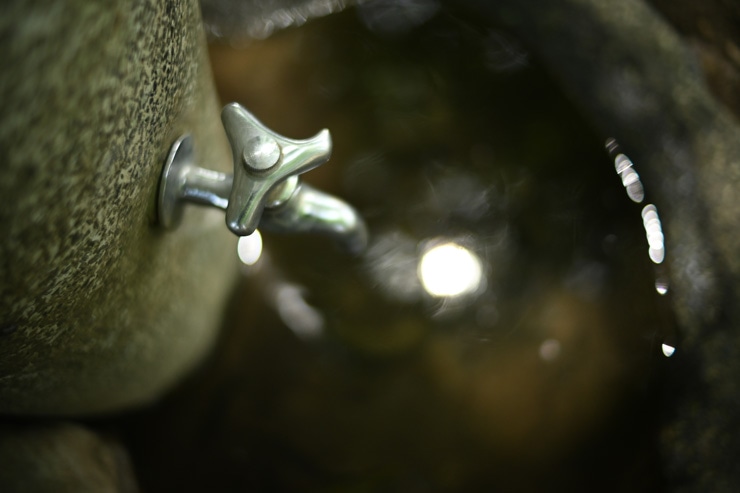 Voigtlander（フォクトレンダー） NOKTON D23mm F1.2 Aspherical ニコンZ用 作例7