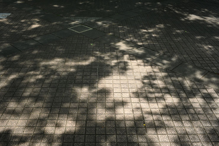 Voigtlander（フォクトレンダー） NOKTON D23mm F1.2 Aspherical ニコンZ用 歪曲収差作例
