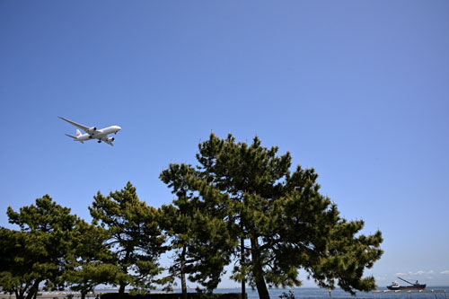 Nikon（ニコン） Z 9 比較動合成作例1