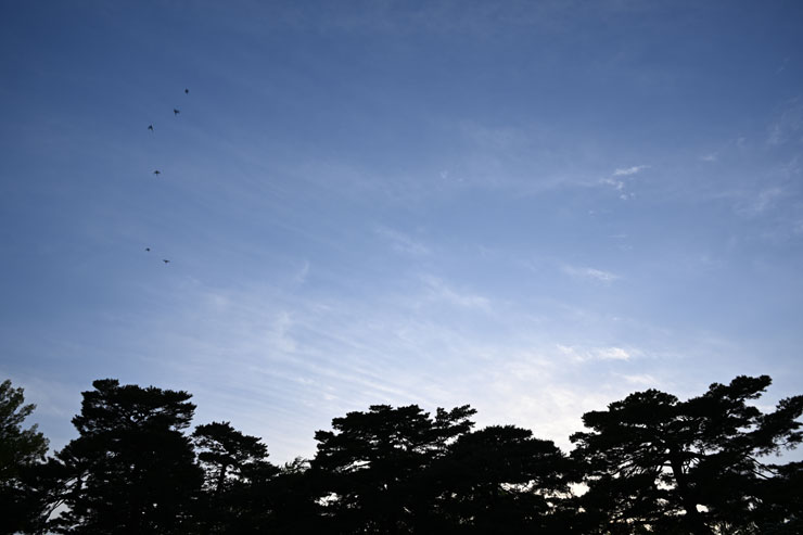 Nikon（ニコン） Z 9 作例5