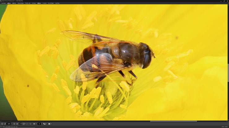 Canon（キヤノン） EOS R3 DPP画面