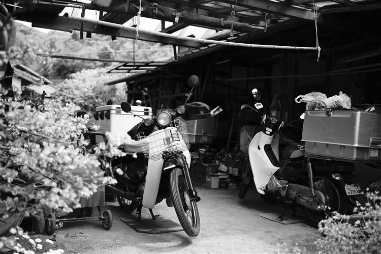 Leica（ライカ）M11 作例10