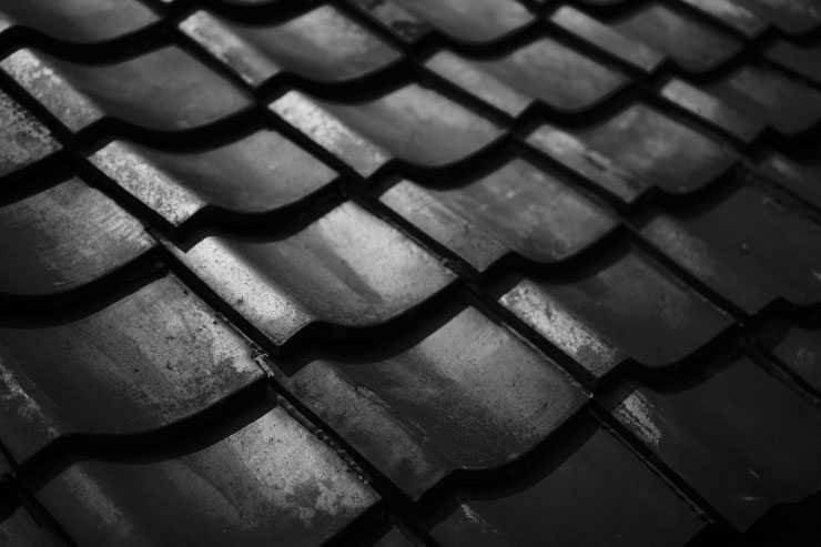 Leica（ライカ）M11 作例4