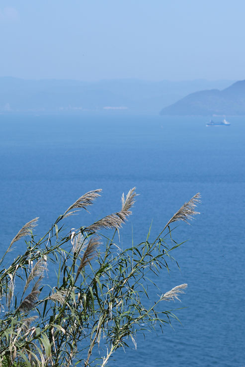 Leica（ライカ）M11 作例6 トリミング