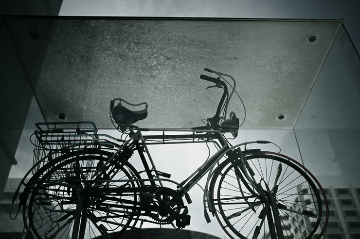 Voigtlander（フォクトレンダー） APO-LANTHAR 35mm F2 Aspherical ニコンZマウント 作例6