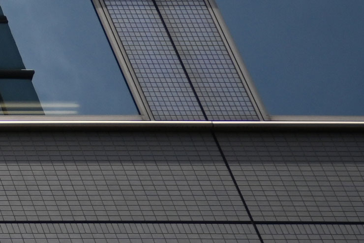 Voigtlander（フォクトレンダー） APO-LANTHAR 35mm F2 Aspherical ニコンZマウント 周辺部画質作例拡大（周辺部）