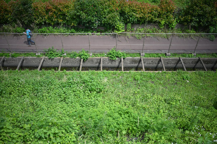 Voigtlander（フォクトレンダー） APO-LANTHAR 35mm F2 Aspherical ニコンZマウント 作例3