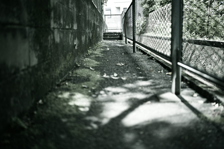 Voigtlander（フォクトレンダー） APO-LANTHAR 35mm F2 Aspherical ニコンZマウント 作例4