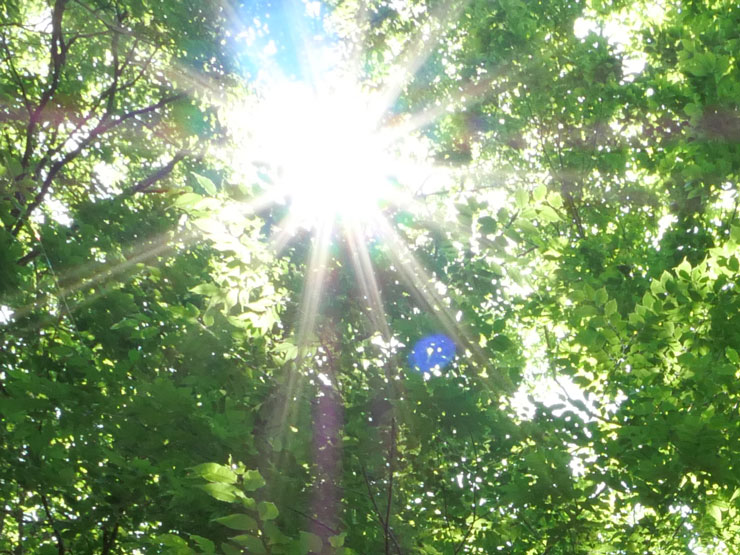 Panasonic（パナソニック） LEICA DG SUMMILUX 9mm / F1.7 ASPH. ゴースト作例拡大