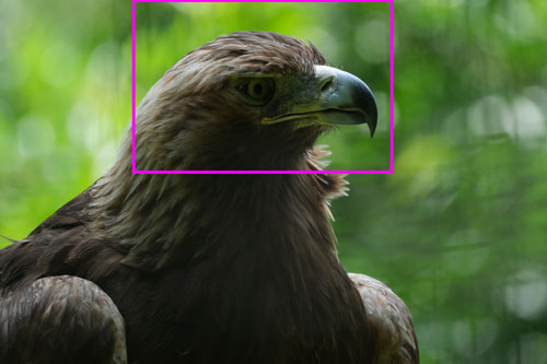 FUJIFILM（富士フイルム） X-H2S 解像感作例