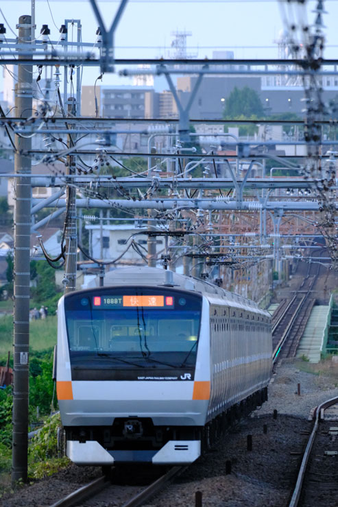 FUJIFILM（富士フイルム）XF150-600mmF5.6-8 R LM OIS WR 作例