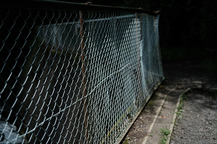 Voigtlander（フォクトレンダー）MACRO APO-ULTRON 35mm F2 X-mount 作例7