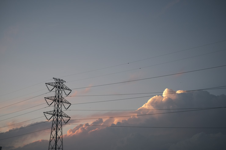 Voigtlander（フォクトレンダー）MACRO APO-ULTRON 35mm F2 X-mount 作例8