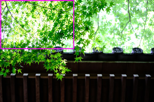 Voigtlander（フォクトレンダー）MACRO APO-ULTRON 35mm F2 X-mount 周辺部画質作例