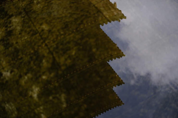 Voigtlander（フォクトレンダー）MACRO APO-ULTRON 35mm F2 X-mount 作例4