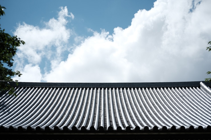 Voigtlander（フォクトレンダー）MACRO APO-ULTRON 35mm F2 X-mount 作例6