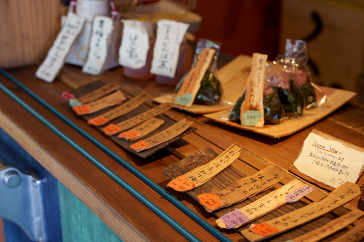 SONY（ソニー） FE 24-70mm F2.8 GM II 作例17