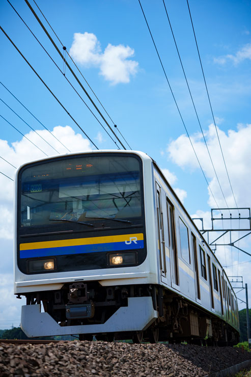 SONY（ソニー） FE 24-70mm F2.8 GM II 作例2