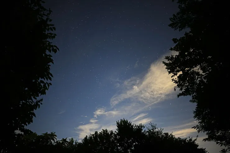 SIGMA（シグマ） 20mm F1.4 DG DN | Art 作例7